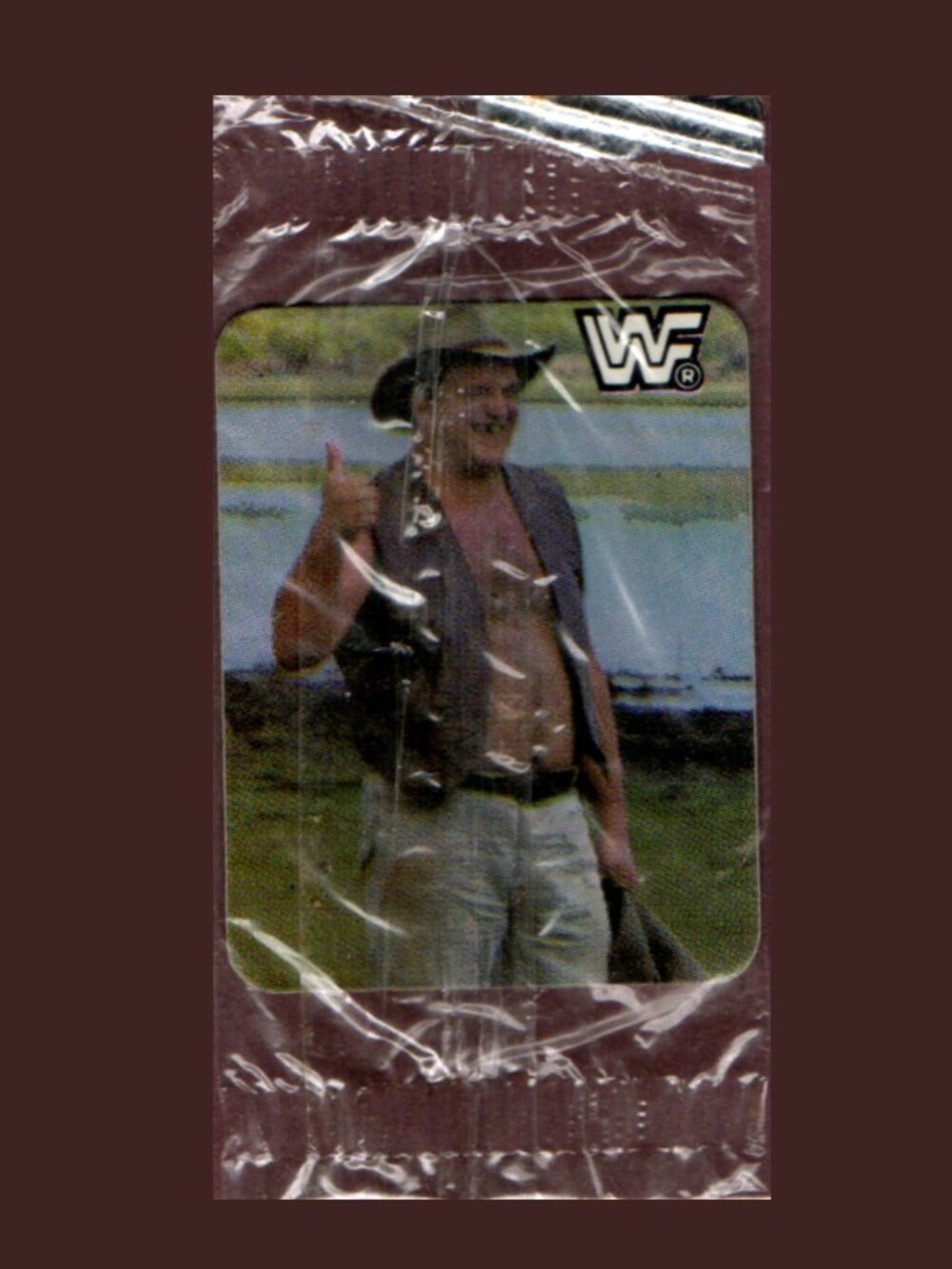 Hostess 1987 WWF WrestleMania Mini Sticker Card Outback Jack Sealed